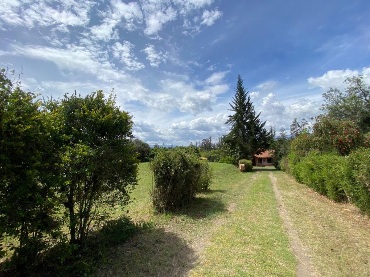 Casa en Puembo — imagen 3