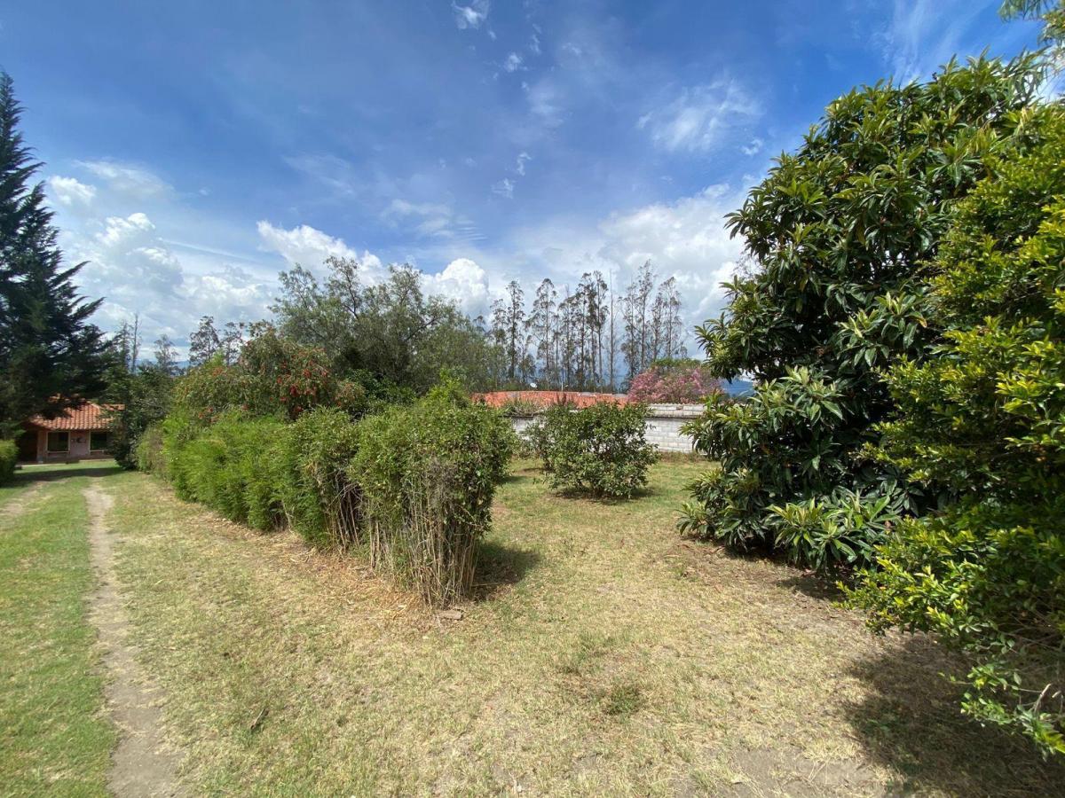 Casa en Puembo — imagen 2