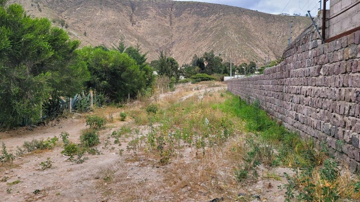 Venta Terreno Comercial 3.040 m² Mitad del Mundo con Fernte Av Córdova Galarza — imagen 8
