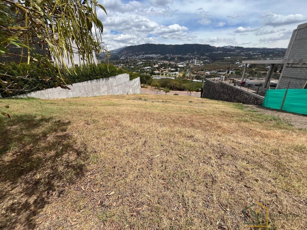 Terreno de Venta en Urb. La Quinta — imagen 7