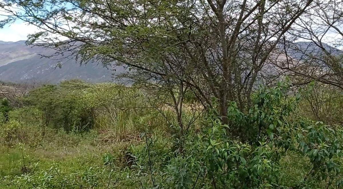 Amplio Terreno en Venta Sector Patapata, Azuay — imagen 9