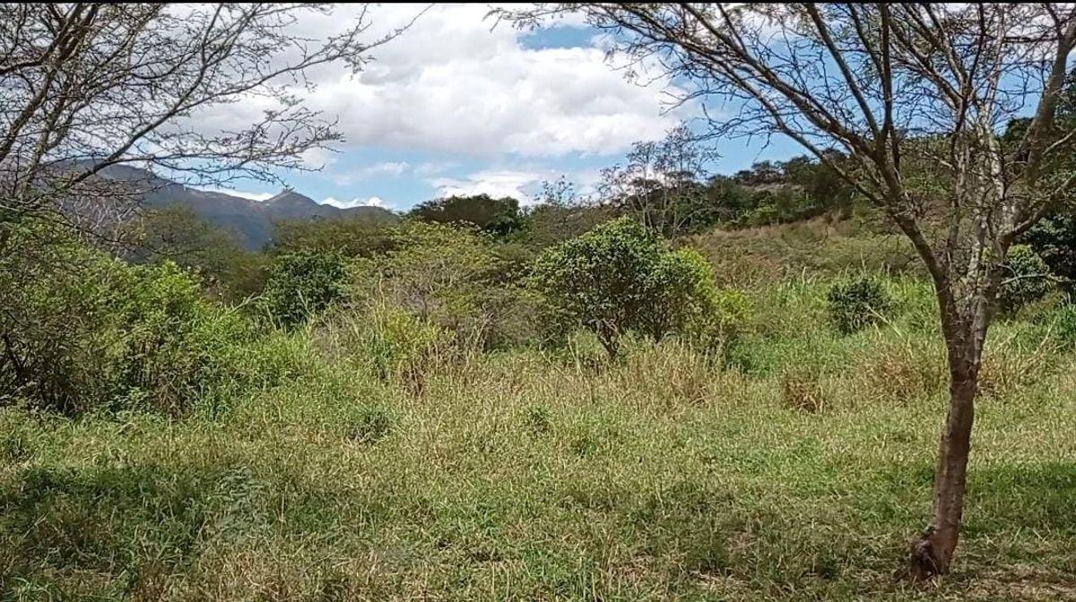 Amplio Terreno en Venta Sector Patapata, Azuay — imagen 8