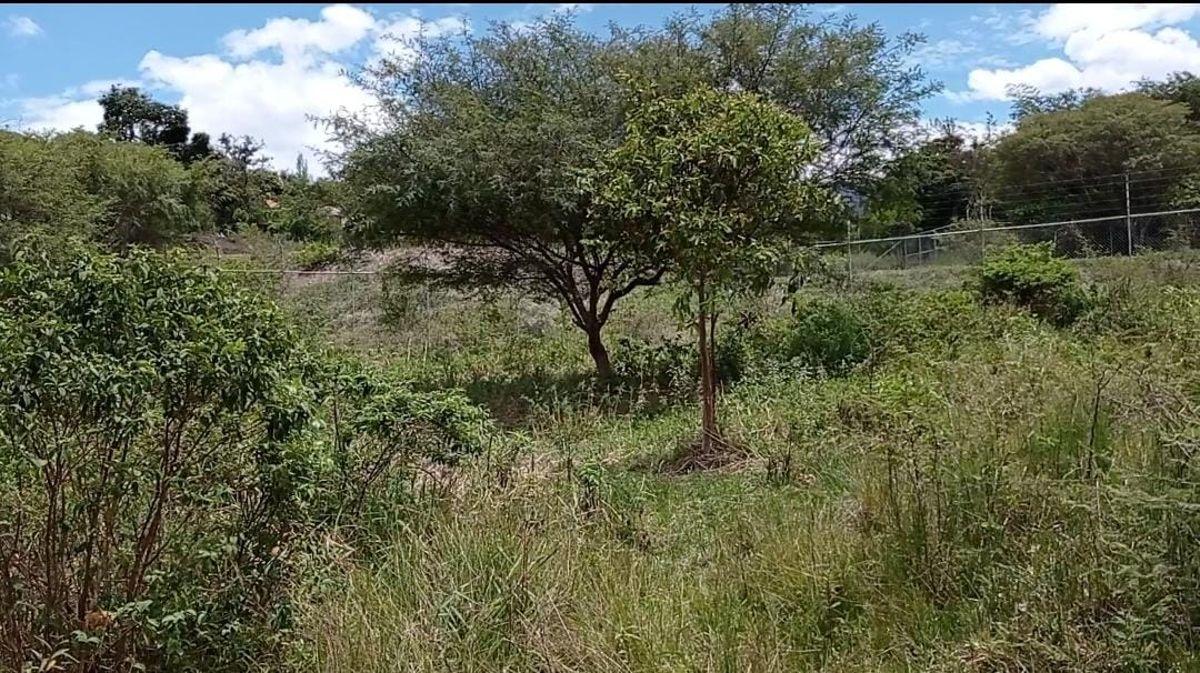 Amplio Terreno en Venta Sector Patapata, Azuay — imagen 7