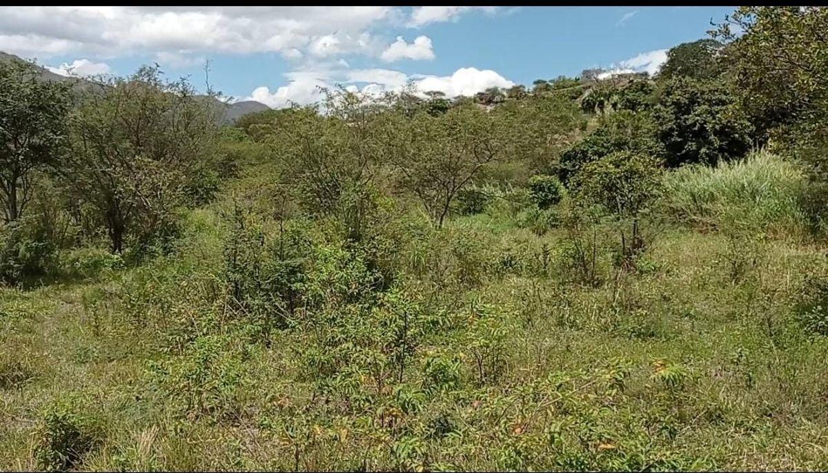 Amplio Terreno en Venta Sector Patapata, Azuay — imagen 6