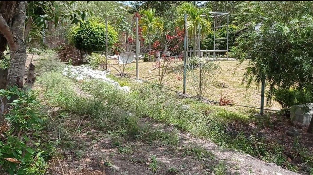 Amplio Terreno en Venta Sector Patapata, Azuay — imagen 5