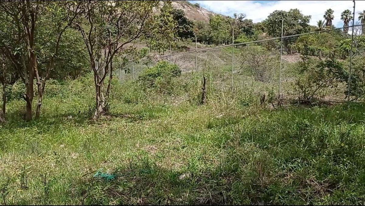 Amplio Terreno en Venta Sector Patapata, Azuay — imagen 4