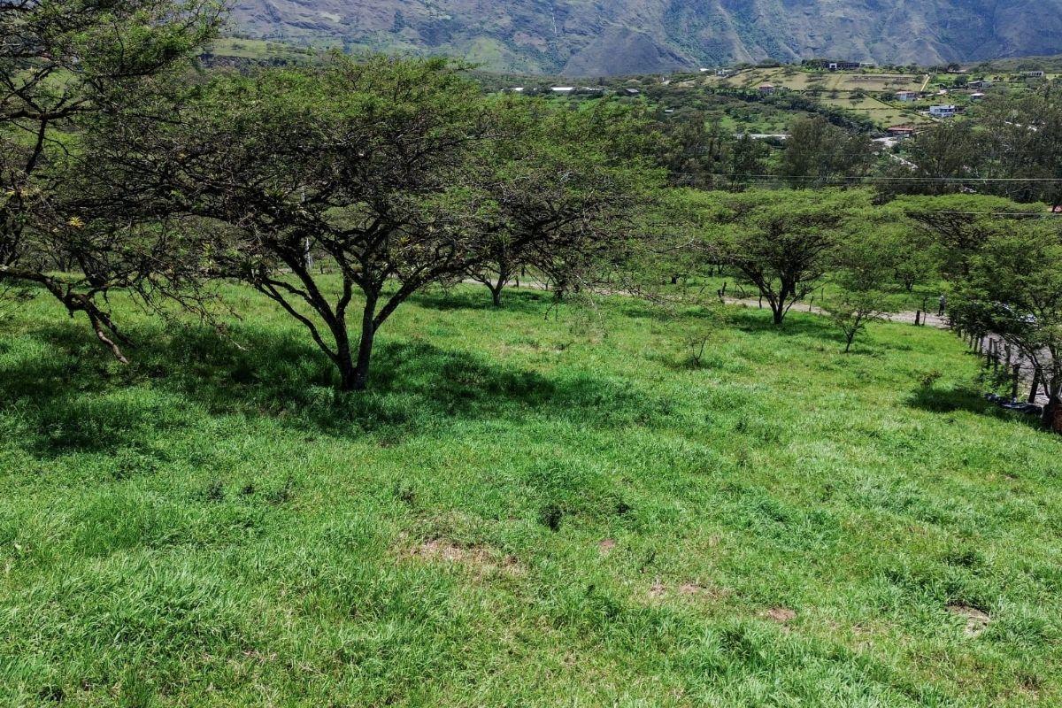 Terreno en Venta, Yunguilla Sector Caledoneas 6.162.55 m², Azuay — imagen 10