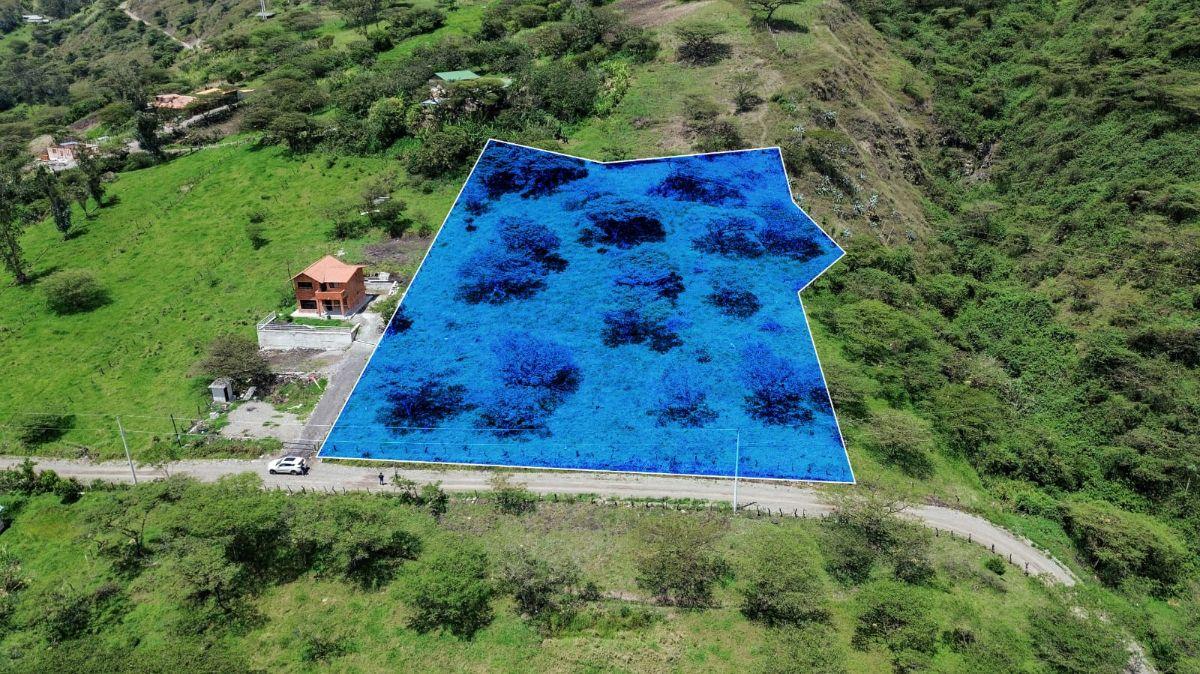 Terreno en Venta, Yunguilla Sector Caledoneas 6.162.55 m², Azuay — imagen 6