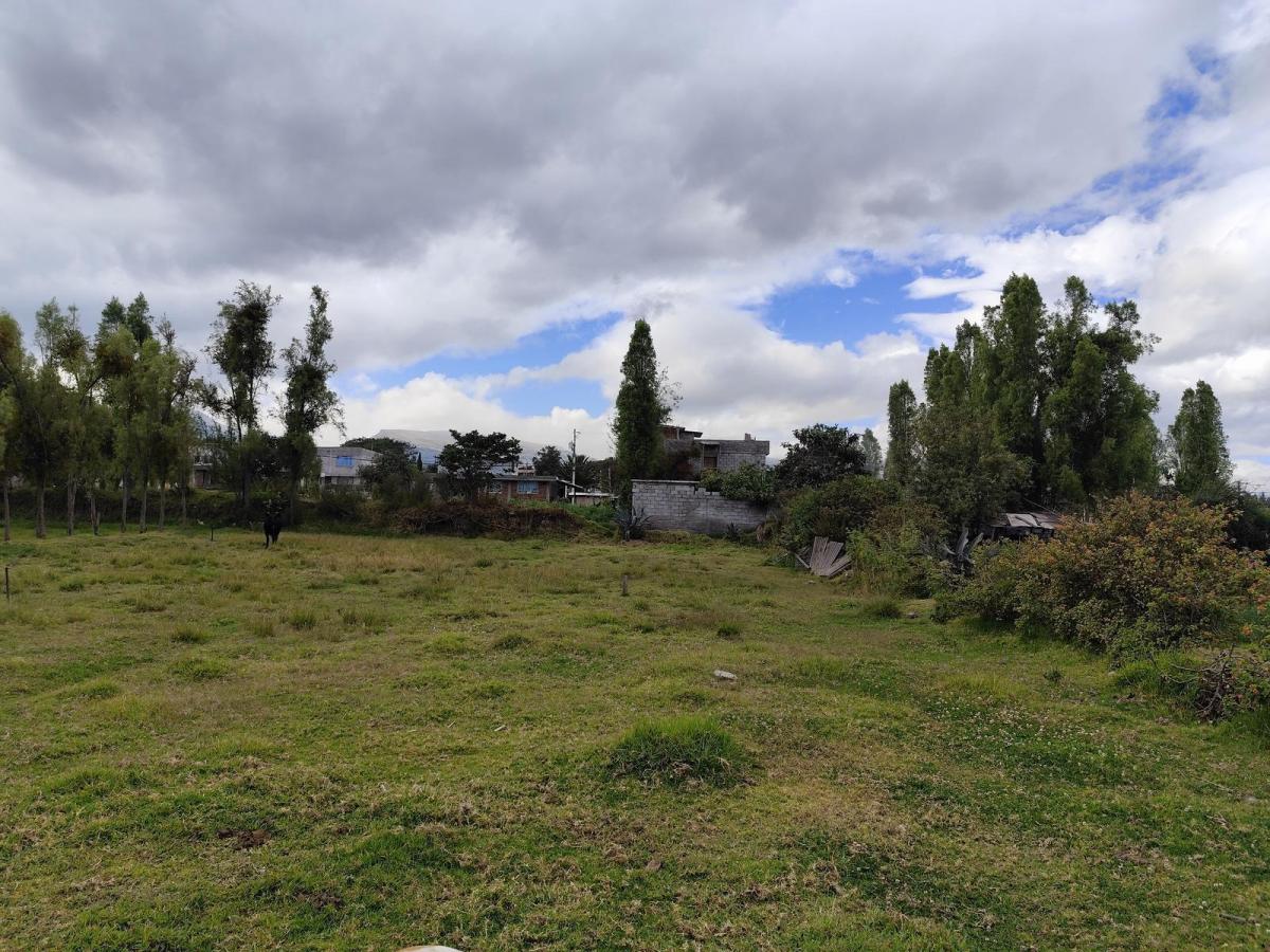 Terreno en Arriendo en Tumbaco | Ideal Para Guardería Canina, Logística o Club Deportivo — imagen 3
