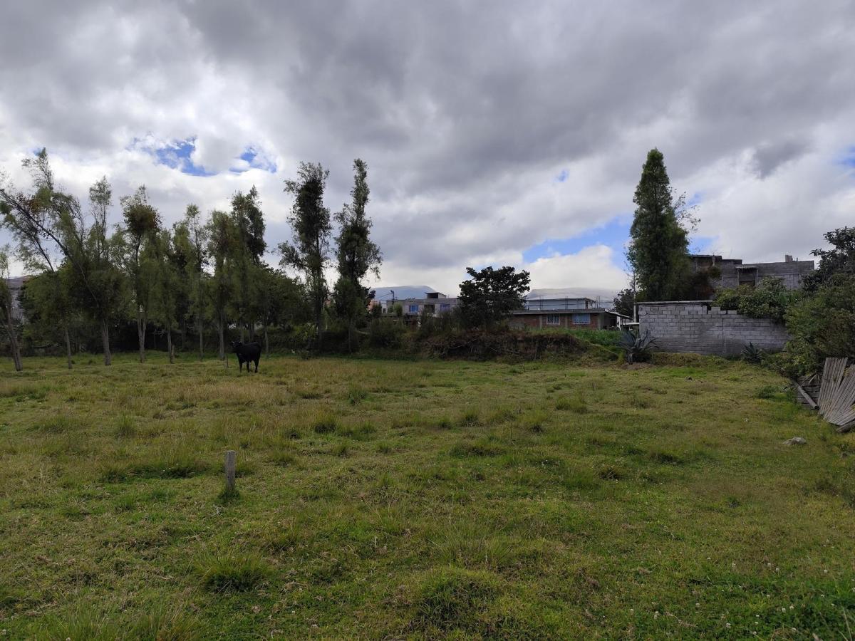 Terreno en Arriendo en Tumbaco | Ideal Para Guardería Canina, Logística o Club Deportivo — imagen 2