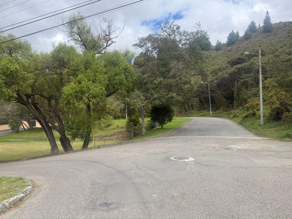 Terreno en Venta Loja Urbanización Rodríguez Witt — imagen 8