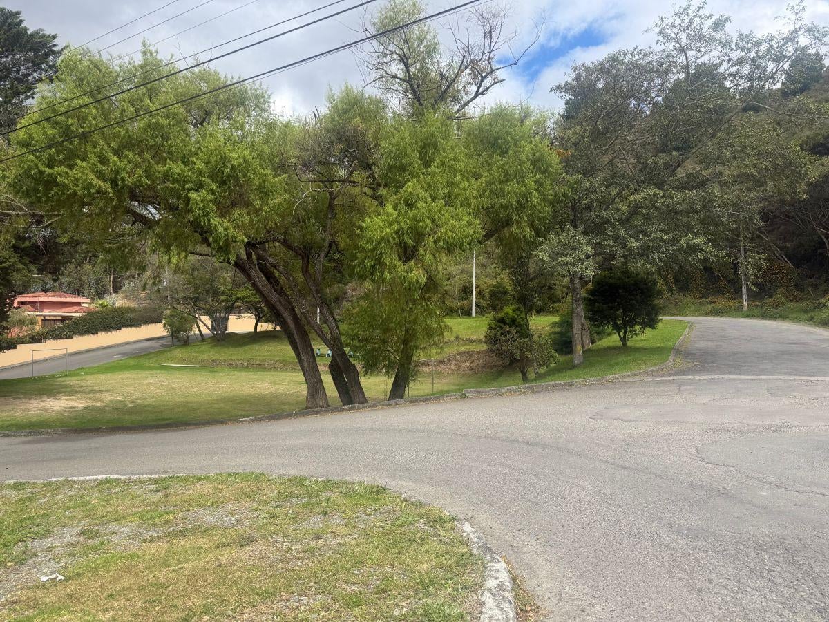 Terreno en Venta Loja Urbanización Rodríguez Witt — imagen 5