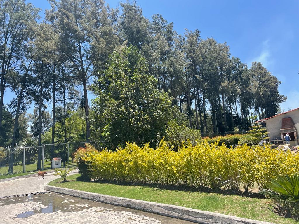 Puembo, Terrenos Exclusivos de 1.250 m² y 1175,77 m² en Urbanización — imagen 10