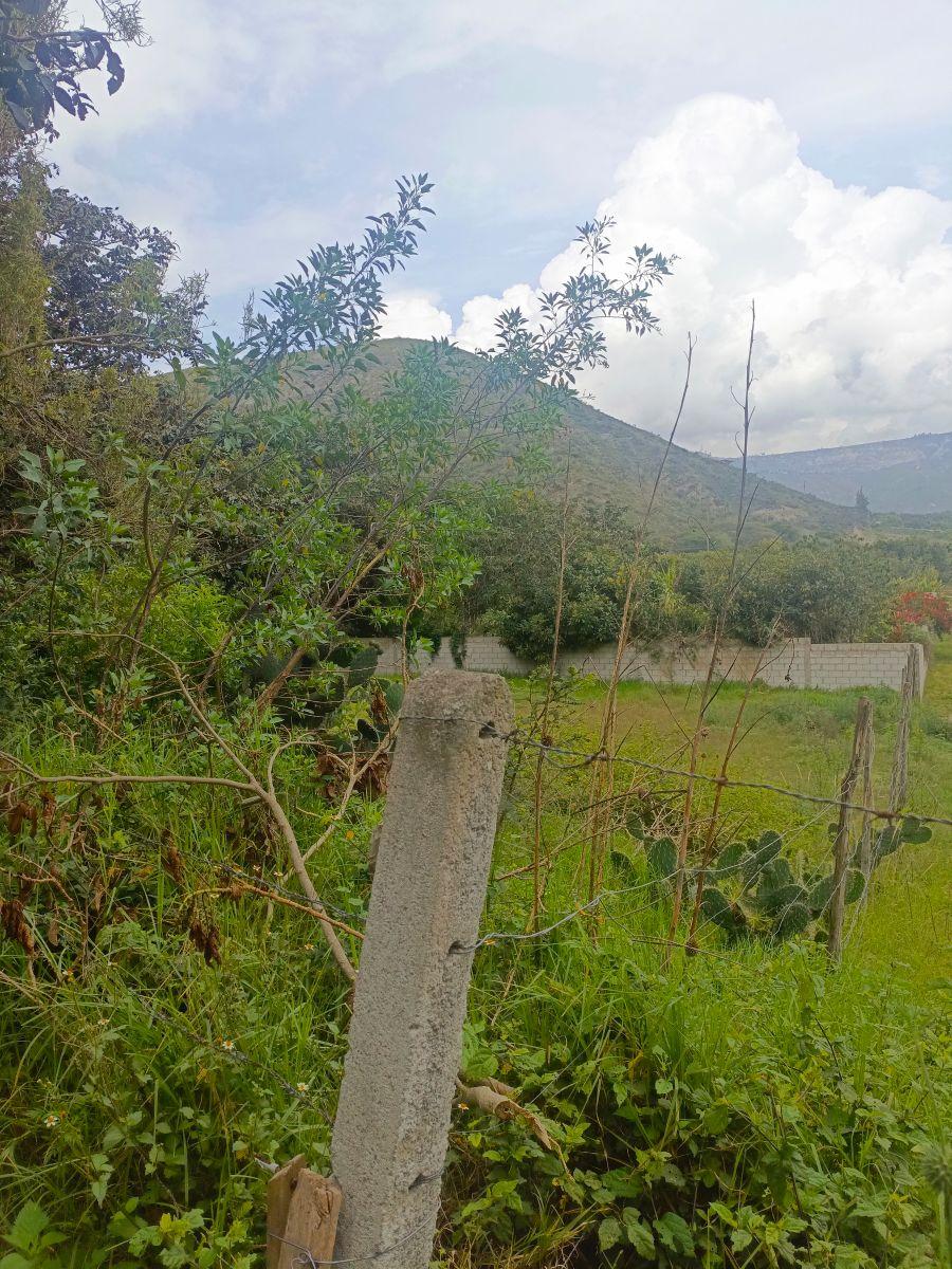 Terreno de Venta en Guayllabamba, 900 m² — imagen 4