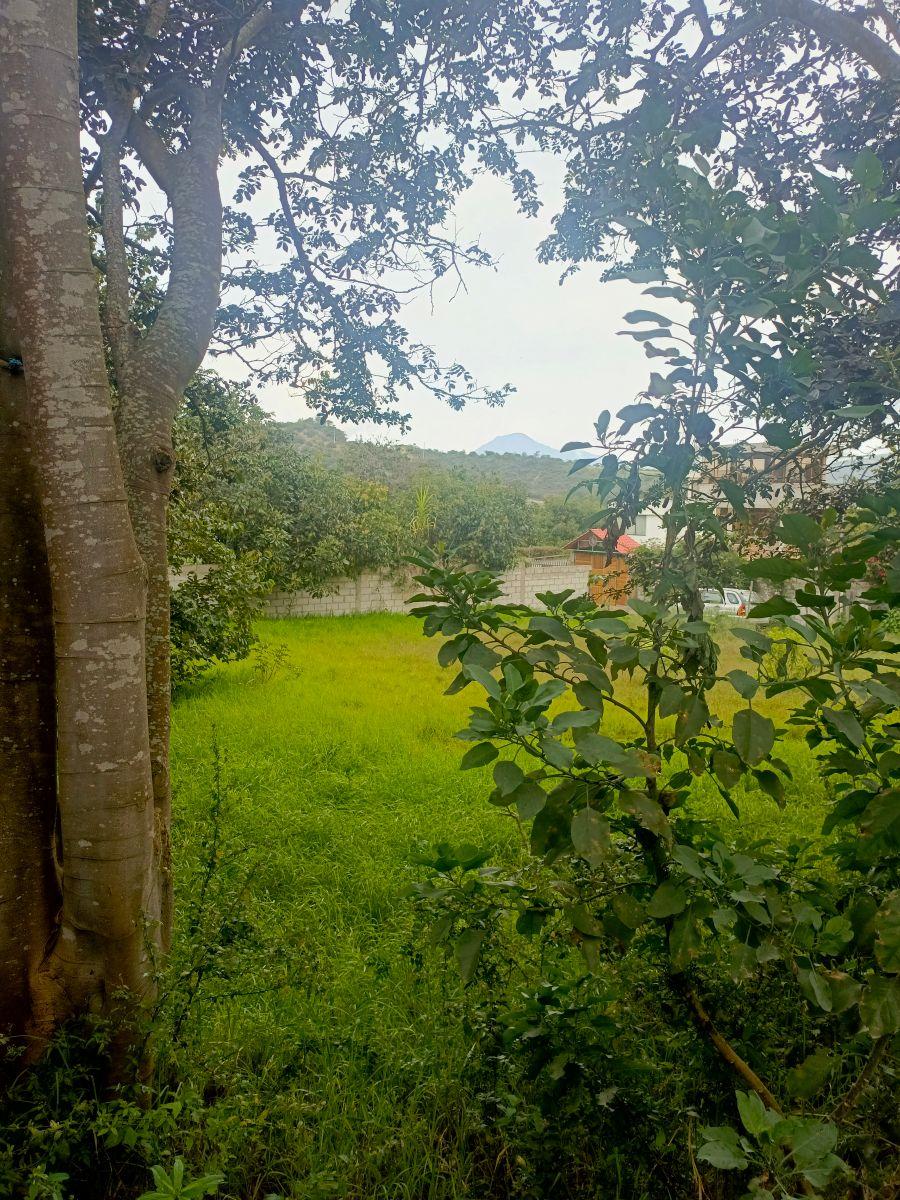 Terreno de Venta en Guayllabamba, 900 m² — imagen 3