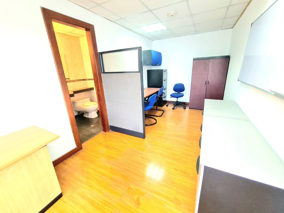 Oportunidad Innovocasa Vende Oficina Amoblada, Sector La Carolina — imagen 8