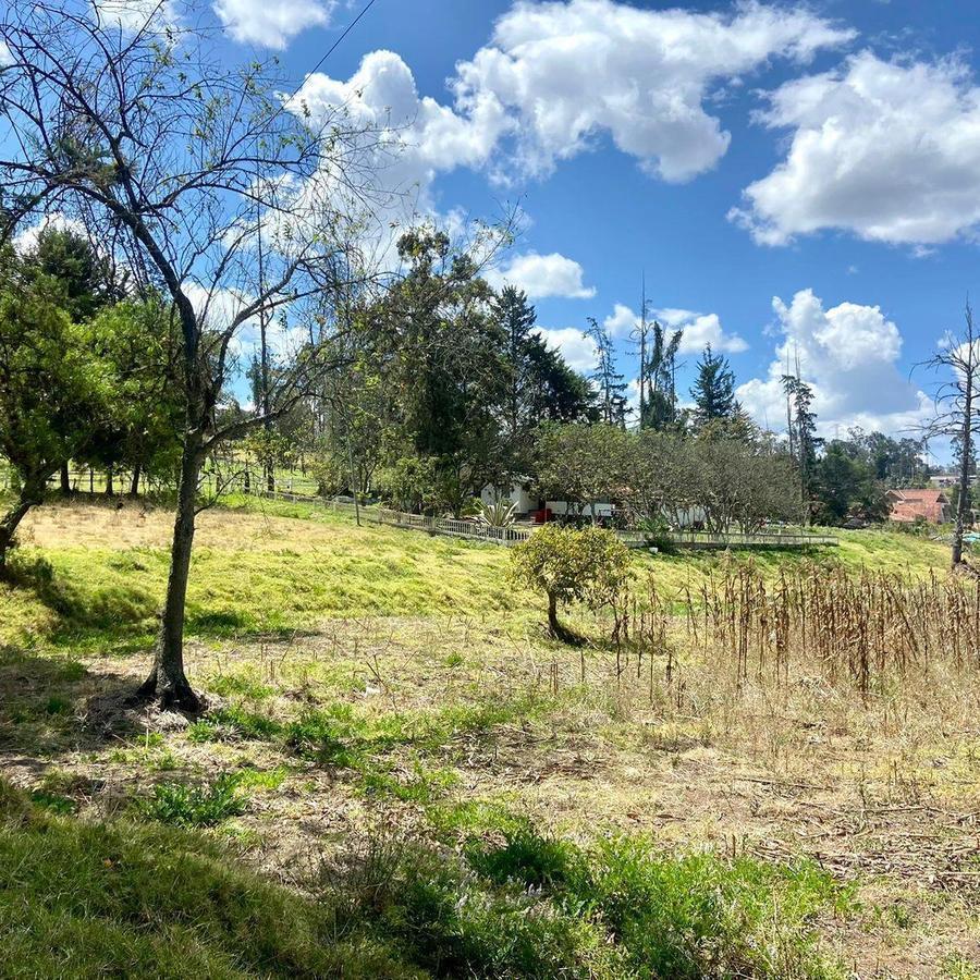 Hermoso Terreno, Sector Zhullin (1 Hectarea) — imagen 8