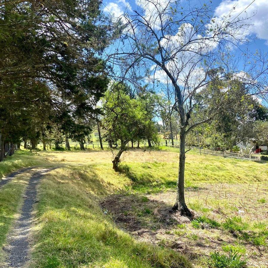 Hermoso Terreno, Sector Zhullin (1 Hectarea) — imagen 7