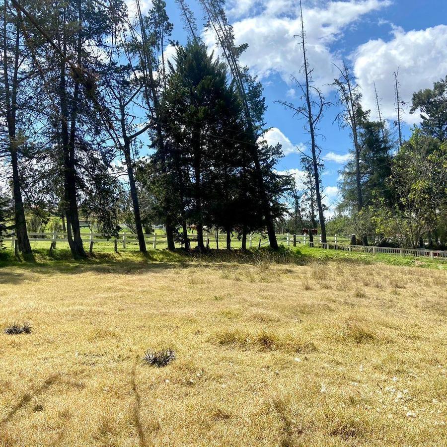 Hermoso Terreno, Sector Zhullin (1 Hectarea) — imagen 3