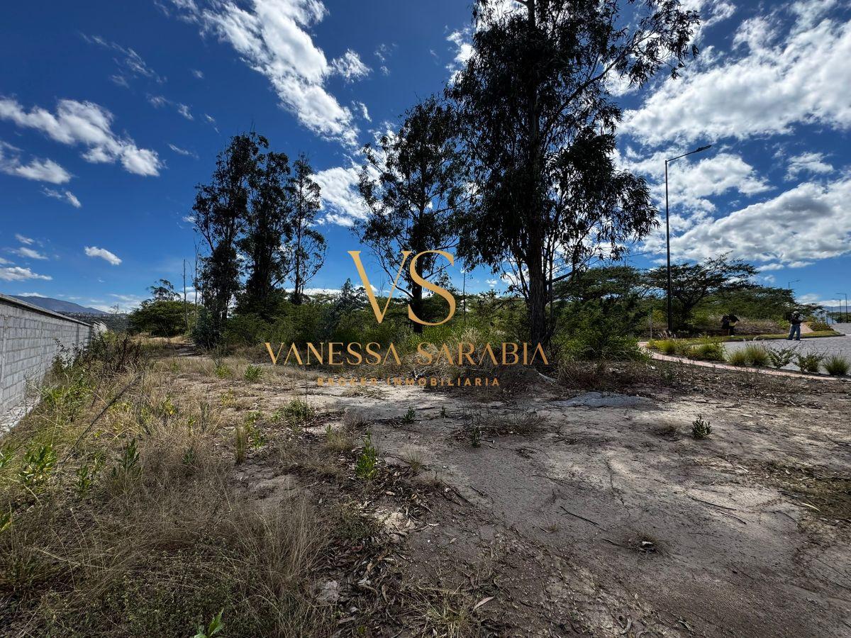 Vendo Terreno Urb Exclusiva en Tumbaco, Quito - Ecuador — imagen 8