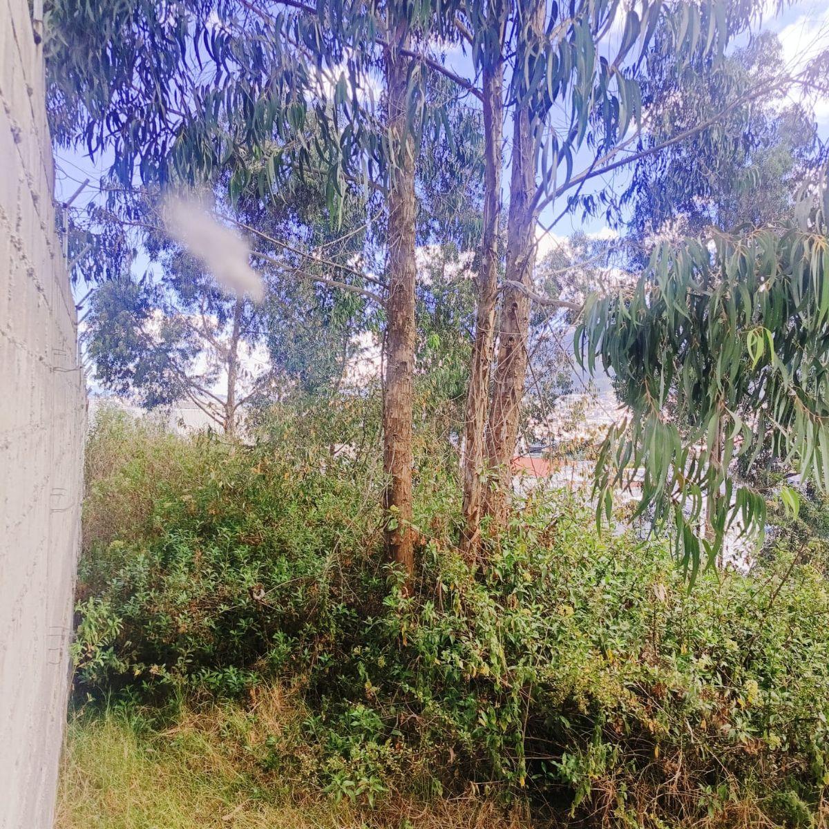Terreno en Venta – Santa Lucía Alta, Kennedy Norte | Quito — imagen 3