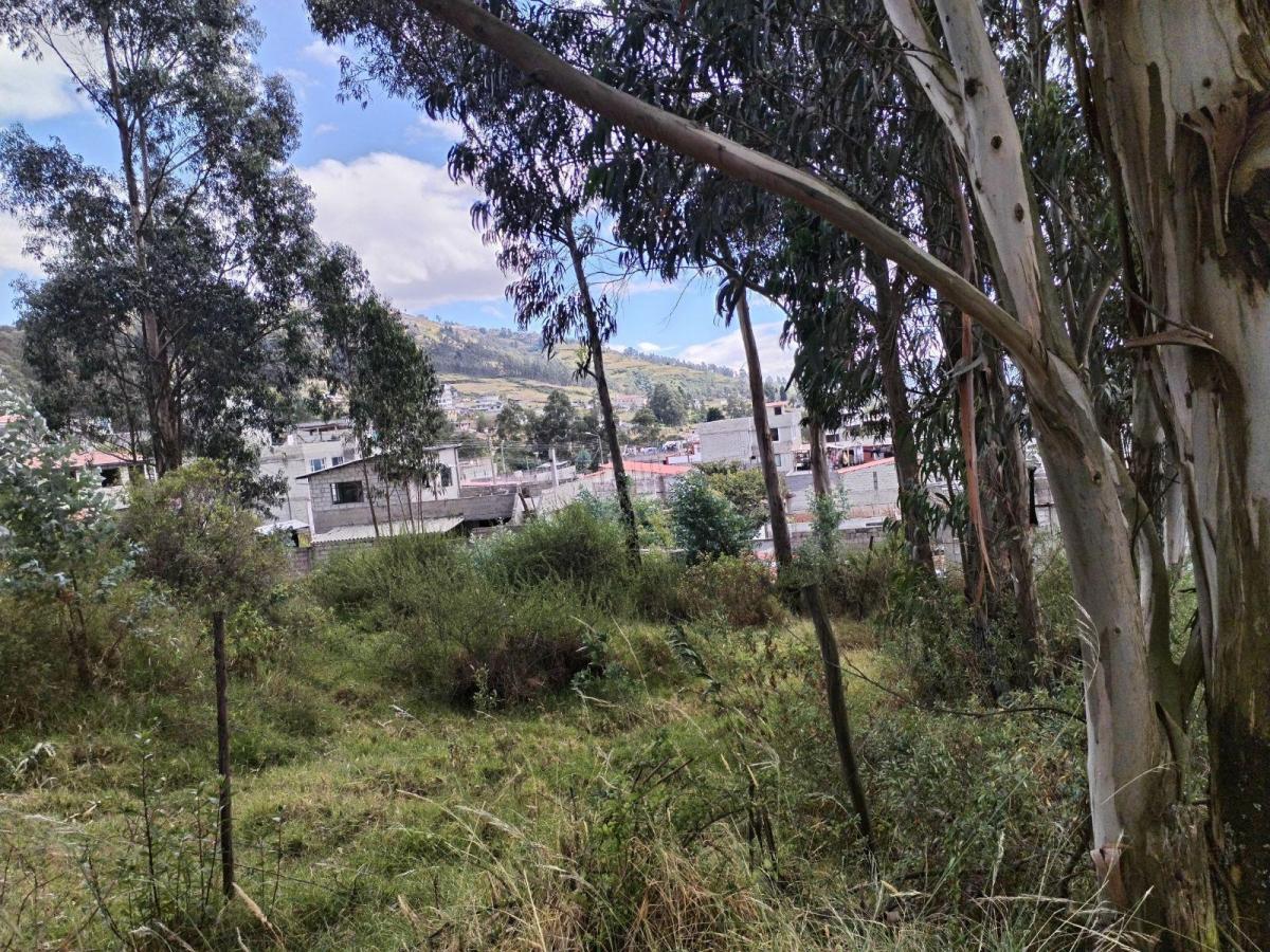 Conocoto Vendo Terreno Esquinero con Linda Vista en Ontaneda — imagen 5