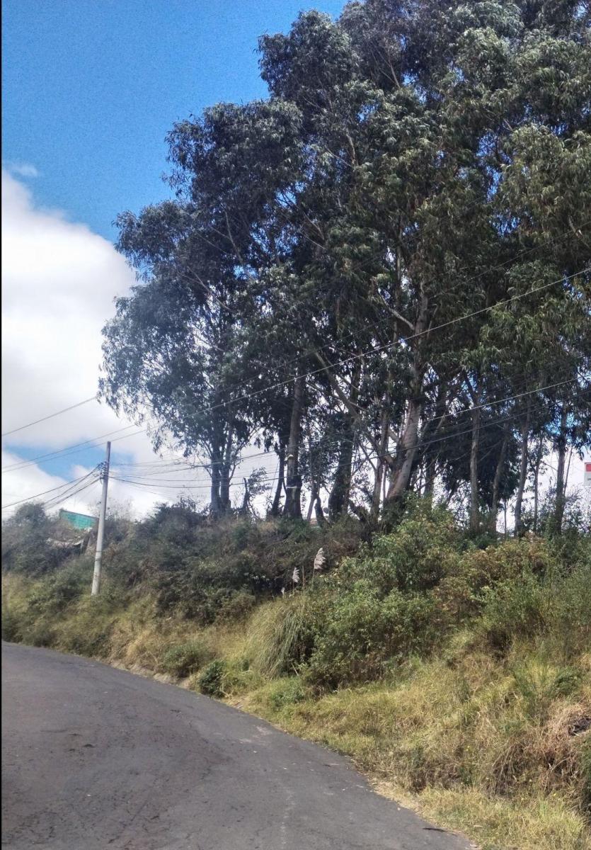 Conocoto Vendo Terreno Esquinero con Linda Vista en Ontaneda — imagen 4