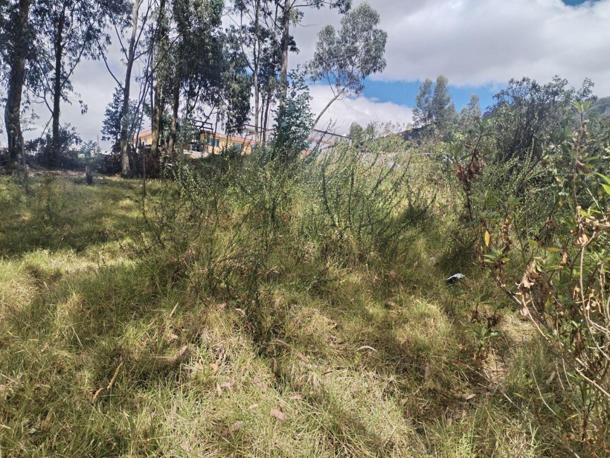 Conocoto Vendo Terreno Esquinero con Linda Vista en Ontaneda — imagen 2