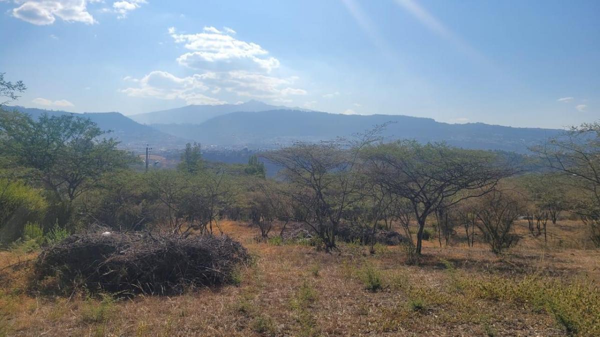 Venta Hermoso Terreno en La Viña del Río, 2.804 m² Apto Para 3 Casas Nuevas. Provincia de Pichincha — imagen 8
