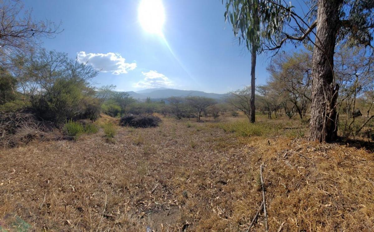 Venta Hermoso Terreno en La Viña del Río, 2.804 m² Apto Para 3 Casas Nuevas. Provincia de Pichincha — imagen 7