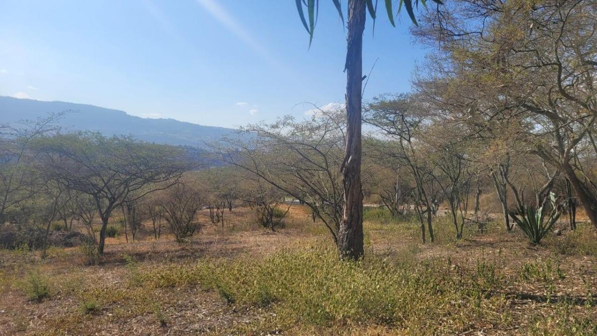 Venta Hermoso Terreno en La Viña del Río, 2.804 m² Apto Para 3 Casas Nuevas. Provincia de Pichincha — imagen 6