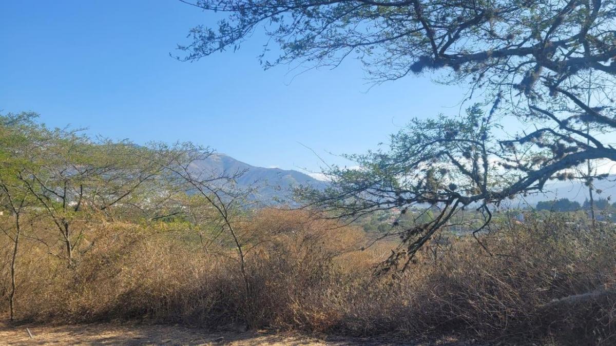 Venta Hermoso Terreno en La Viña del Río, 2.804 m² Apto Para 3 Casas Nuevas. Provincia de Pichincha — imagen 4