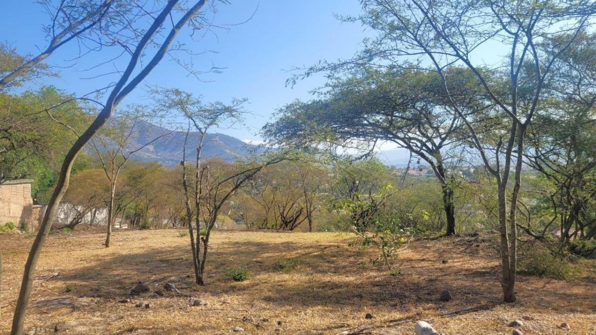 Venta Hermoso Terreno en La Viña del Río, 2.804 m² Apto Para 3 Casas Nuevas. Provincia de Pichincha — imagen 2