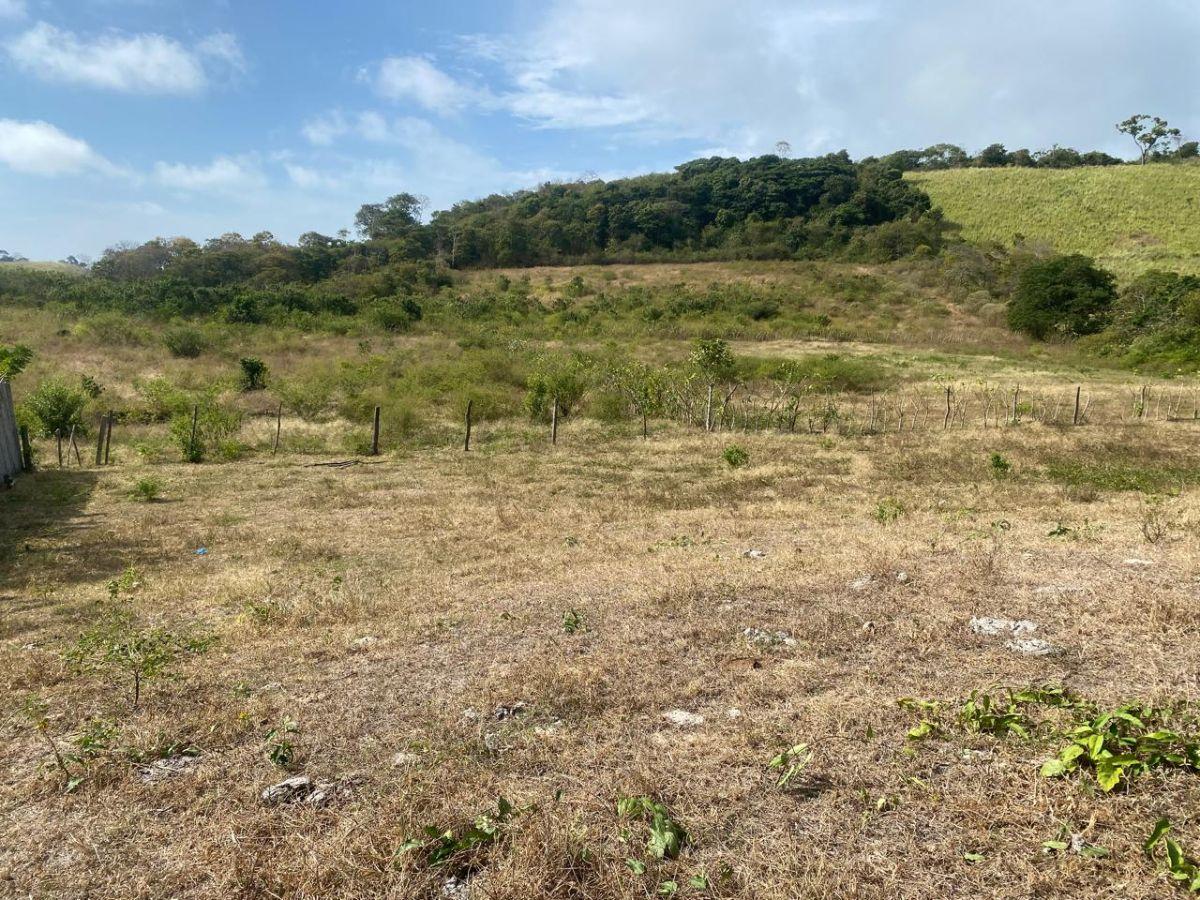 Terreno en Venta La Cabuya - Pedernales - Manabí, Manabí — imagen 9