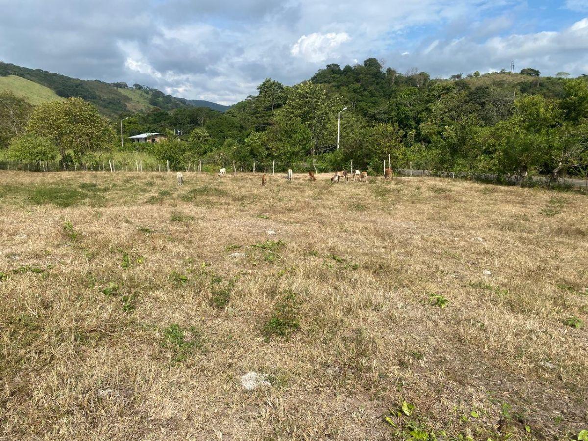 Terreno en Venta La Cabuya - Pedernales - Manabí, Manabí — imagen 8