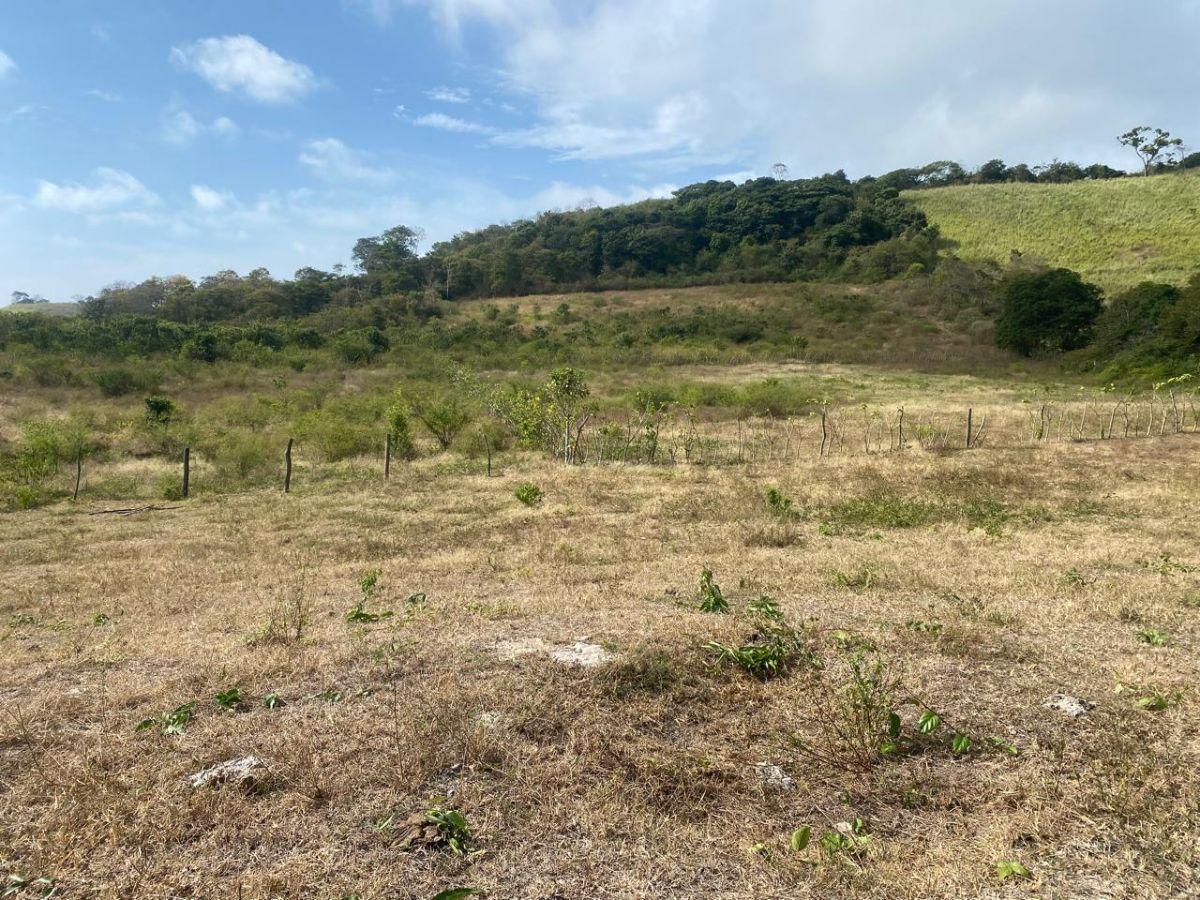 Terreno en Venta La Cabuya - Pedernales - Manabí, Manabí — imagen 7