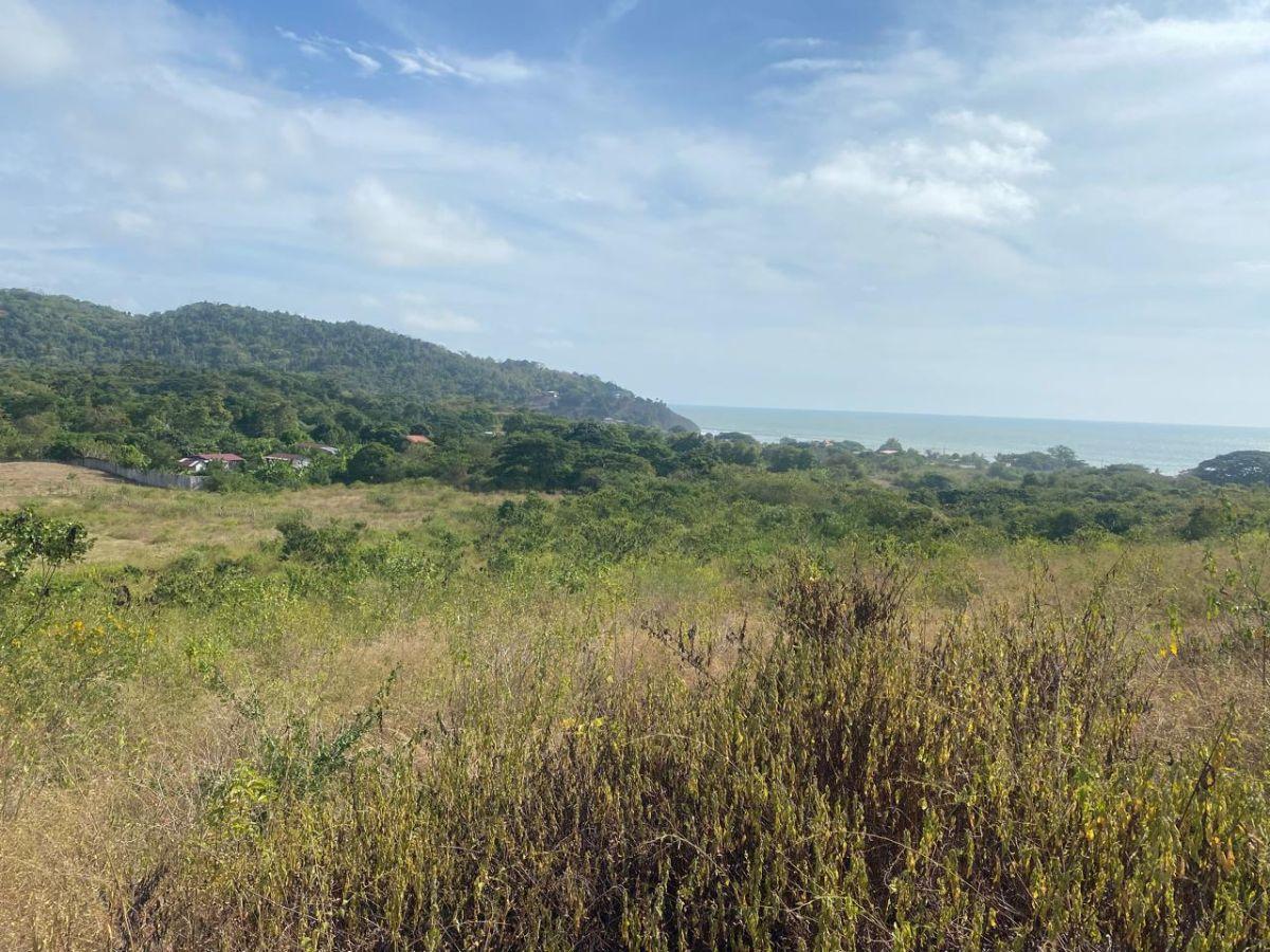 Terreno en Venta La Cabuya - Pedernales - Manabí, Manabí — imagen 6