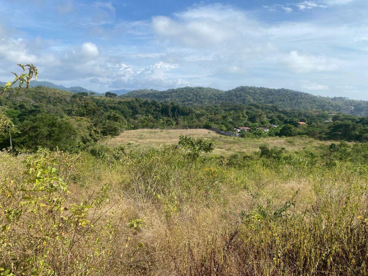 Terreno en Venta La Cabuya - Pedernales - Manabí, Manabí — imagen 5