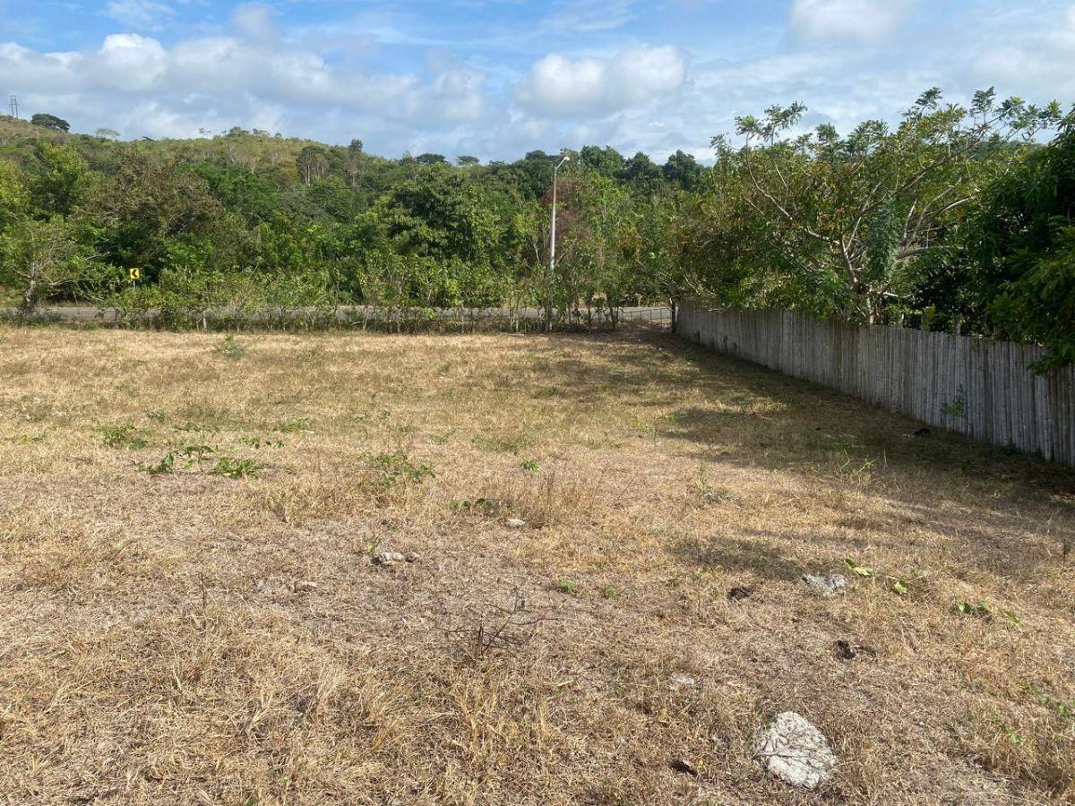 Terreno en Venta La Cabuya - Pedernales - Manabí, Manabí — imagen 4