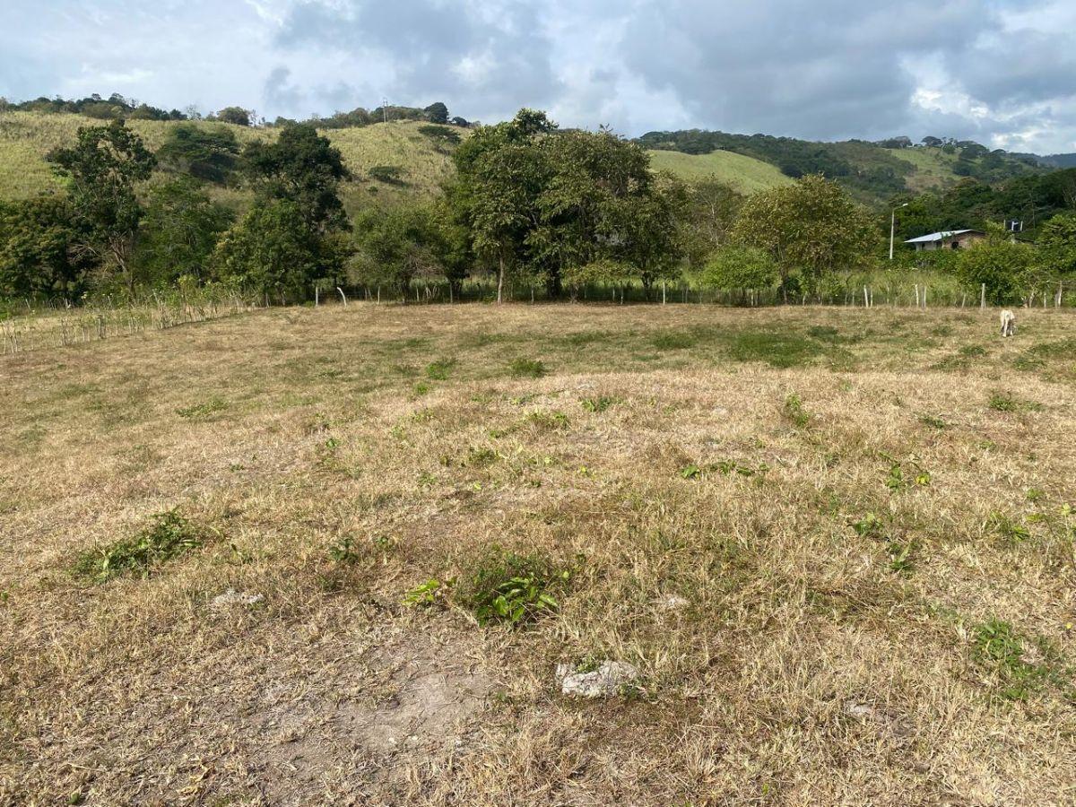 Terreno en Venta La Cabuya - Pedernales - Manabí, Manabí — imagen 3