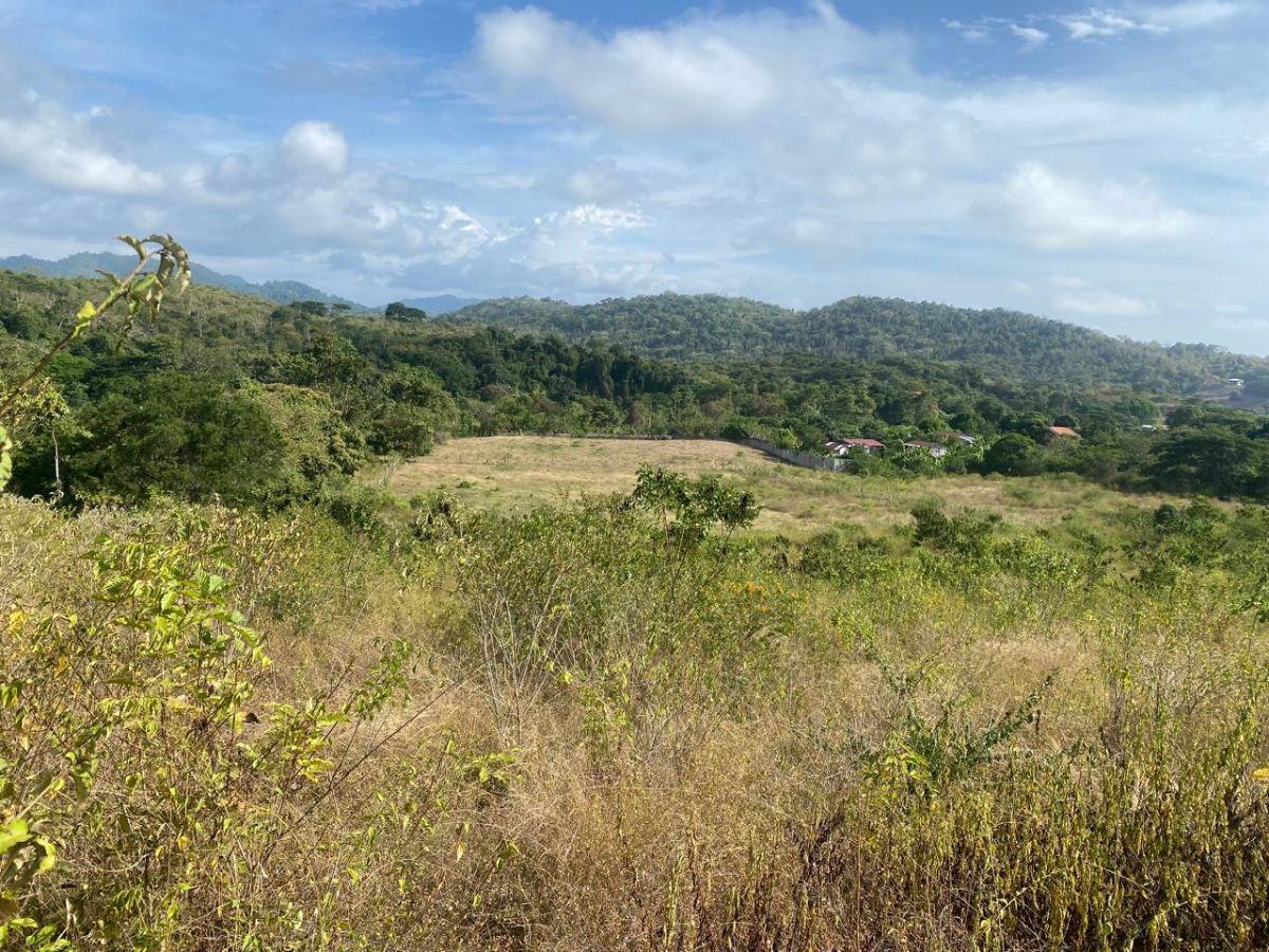 Terreno en Venta La Cabuya - Pedernales - Manabí, Manabí — imagen 2