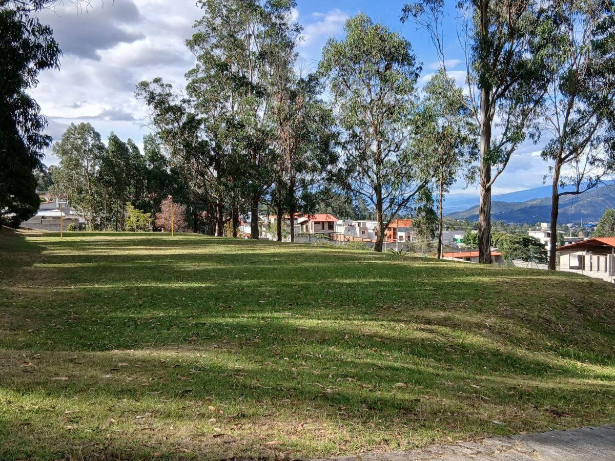 Venta de Terreno Conocoto — imagen 6