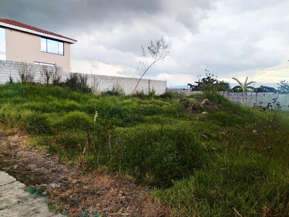 Terreno en Venta Dentro de Urbanización Sector El Colibri — imagen 10
