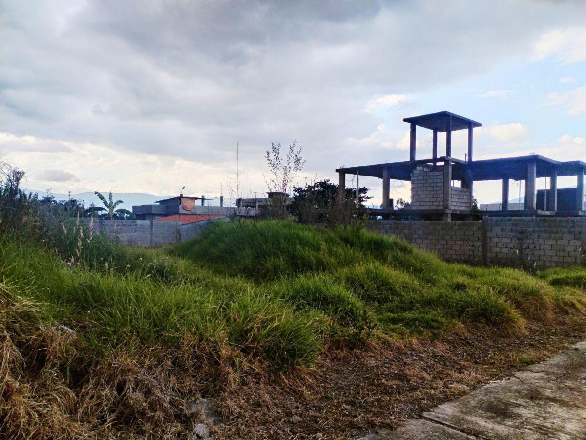 Terreno en Venta Dentro de Urbanización Sector El Colibri — imagen 8