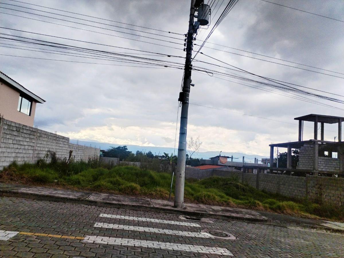 Terreno en Venta Dentro de Urbanización Sector El Colibri — imagen 7