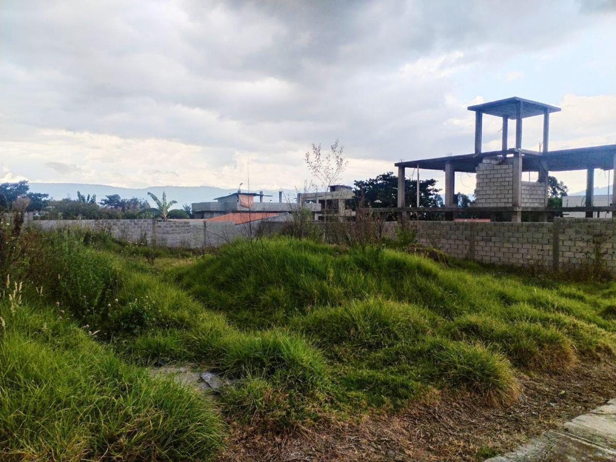 Terreno en Venta Dentro de Urbanización Sector El Colibri — imagen 6