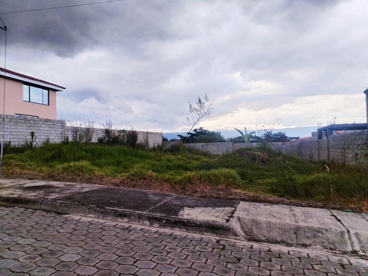 Terreno en Venta Dentro de Urbanización Sector El Colibri — imagen 5