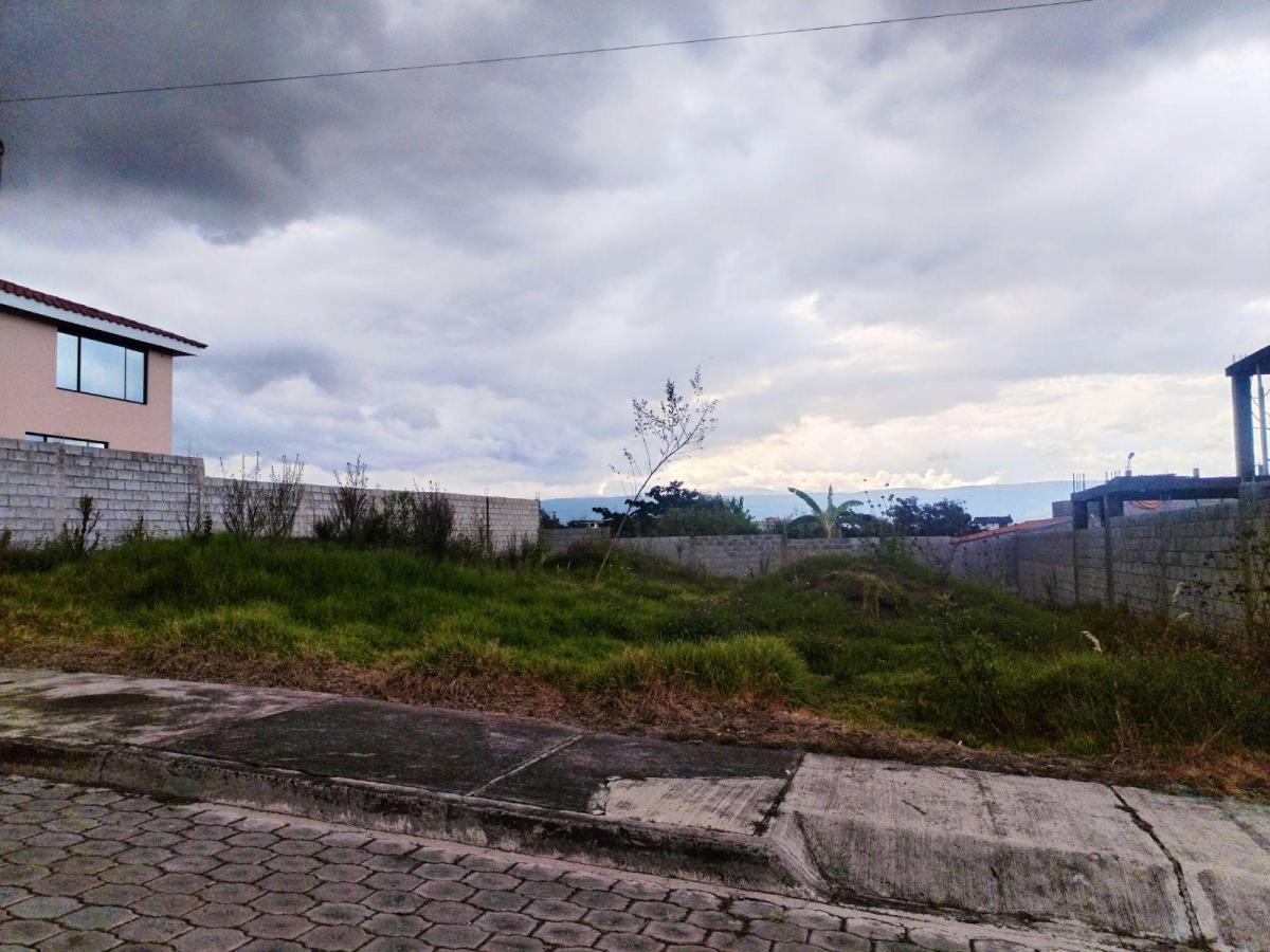 Terreno en Venta Dentro de Urbanización Sector El Colibri — imagen 4