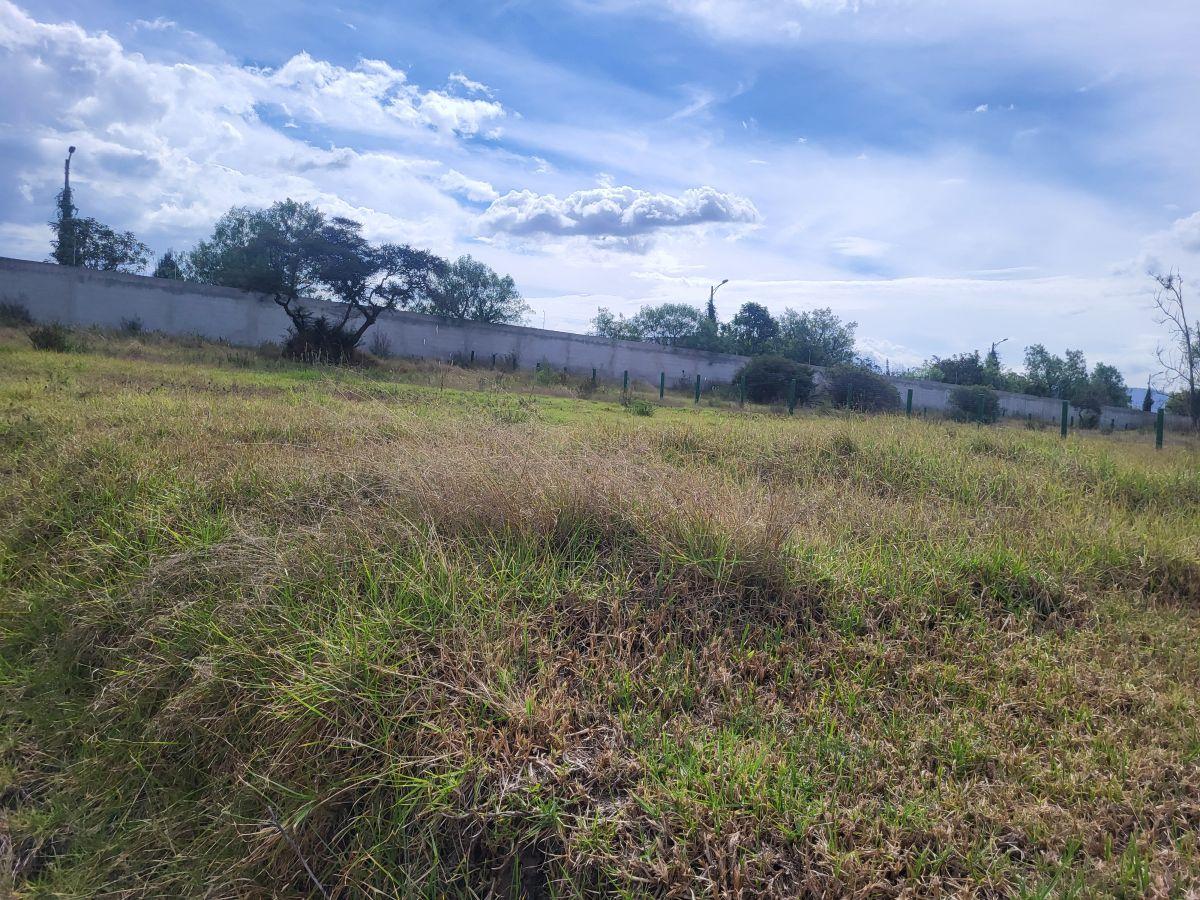 Oportunidad Terreno de Venta en Puembo, Dentro de Urbanización Privada — imagen 5