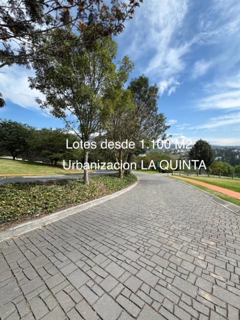 1500 m², Vista, Seguridad, Vivir en Cumbaya La Quinta — imagen 2